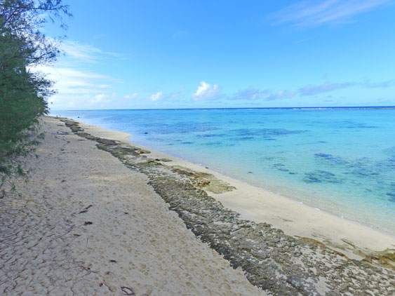 Macs is across the road from Rarotonga’s top snorkeling spot “fruits of Rarotonga”