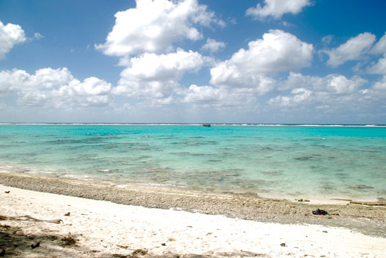 marine reserve, Fruits of Rarotonga