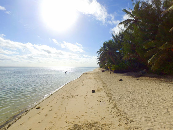 snorkeling, marine treasures, and excellent swimming