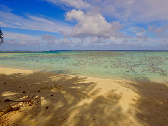 the beach across the road