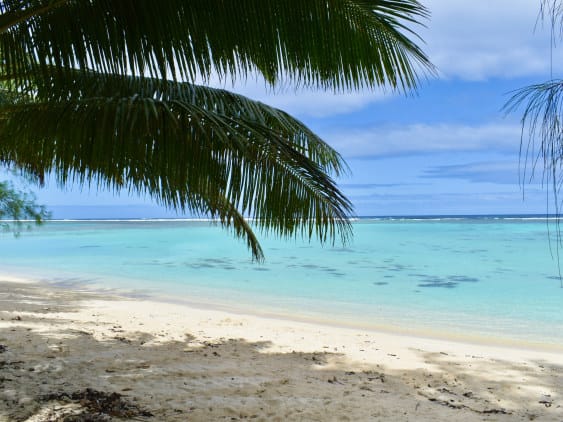 lagoon down the road is ideal for snorkling